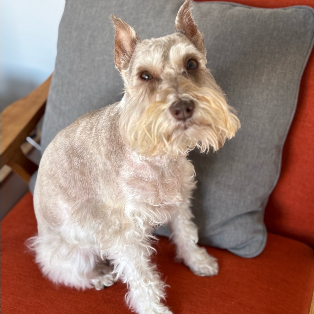 Meet your Posher, Nathalie